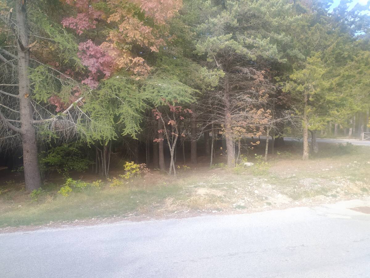 AVEZZANO, SUL VALICO DEL MONTE SALVIANO ARRIVA L’AULA VERDE DIDATTICA