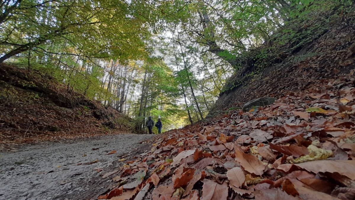 TURISMO: A SANTE MARIE UN CORSO PER OPERATORI NELLA MARSICA