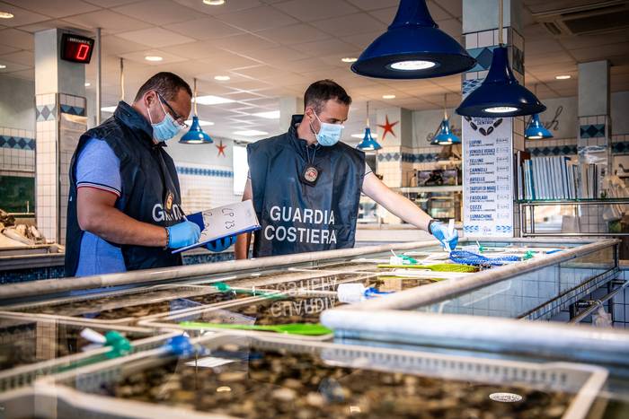 PESCARA, DIREZIONE MARITTIMA SEQUESTRA OLTRE 500 CHILI PESCE