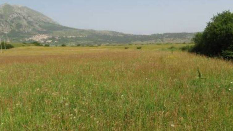 PARCO SIRENTE-VELINO: SINISTRA ITALIANA, “NO A VILLETTE A PRATO DELLA MADONNA, D’AMORE BATTA COLPO”
