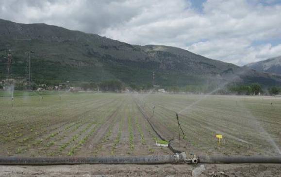 AGRICOLTURA: CHIESTO RINVIO ELEZIONI CONSORZI DI BONIFICA