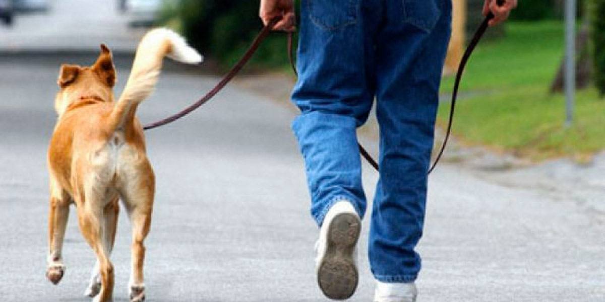 CHIETI: INASPRITI CONTROLLI E MULTE A PROPRIETARI CANI