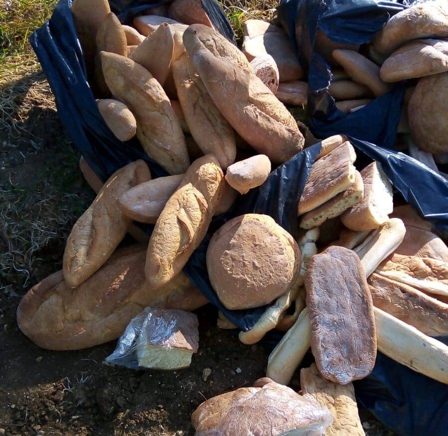 FOSSACESIA: SACCHI DI PANE GETTATI IN STRADA, SINDACO, “EPISODIO CHE FA MALE”