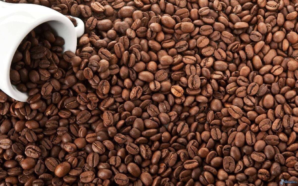 CAFFE’ NON SARA’ PATRIMONIO UNESCO, L’ABRUZZESE SAQUELLA: “SIAMO DELUSI MA CI RIPROVEREMO NEL 2023”