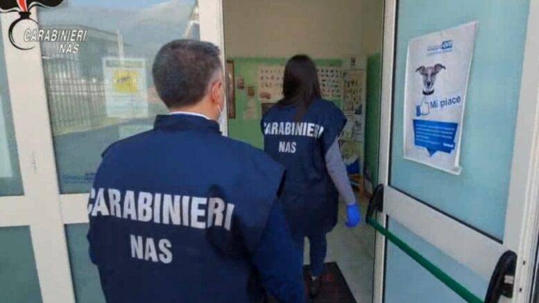 CONTROLLI NAS IN CLINICHE VETERINARIE: VIOLAZIONI A L’AQUILA, PESCARA, TERAMO, GIULIANOVA E VASTO