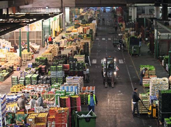 UCRAINA, COLDIRETTI: CON AUMENTO PREZZI PER LE FAMIGLIE STANGATA DA 8.1 MILIARDI SOLO PER LA SPESA