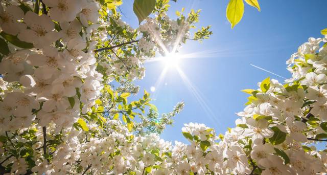 TORNANO LA PRIMAVERA E L’ORA LEGALE: TRA SOLE E BREVI TEMPORALI AL SUD