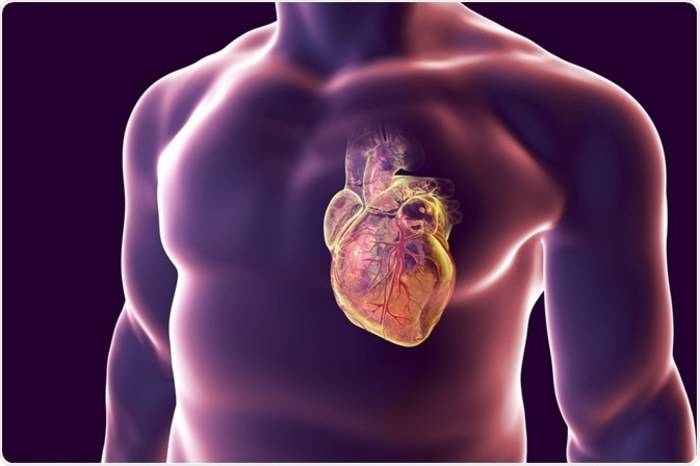 COVID: CARDIOLOGO ROSSI, “VACCINO POTREBBE PROVOCARE MIOCARDITI, MA INFEZIONE BEN PIU’ IMPATTANTE”