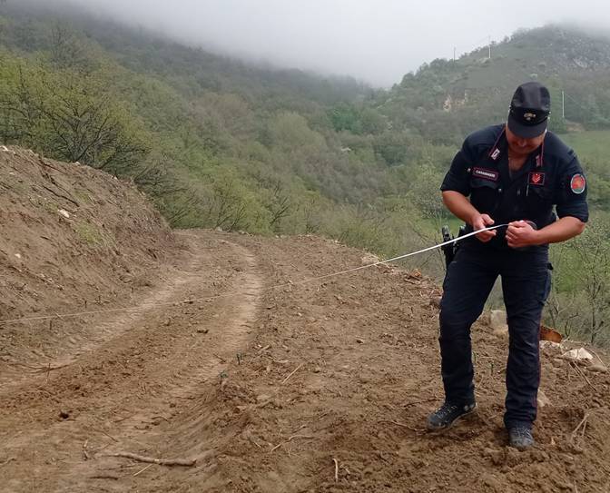 LUCOLI: BOSCO TAGLIATO SENZA AUTORIZZAZIONI, ABBATTUTI 230 ALBERI, SCATTANO DUE DENUNCE