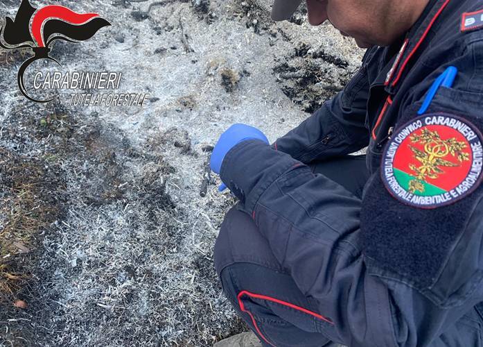 INCENDI A MAGLIANO DE’ MARSI: I CARABINIERI FORESTALI ARRESTANO RESPONSABILE