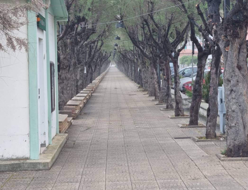 LUNGOMARE FOSSACESIA: DOMANI INAUGURAZIONE NUOVA ILLUMINAZIONE SU VIALE DELLE TAMERICI
