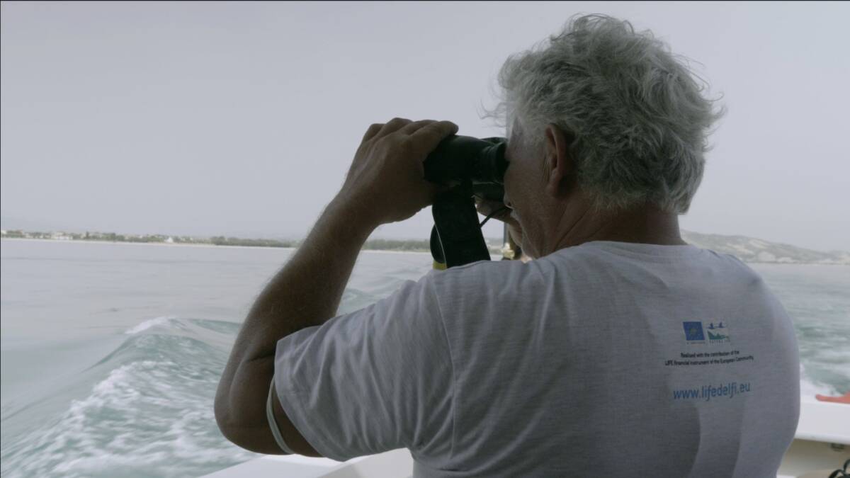 DOLPHIN WATCHING: CORSO DI FORMAZIONE NELL’AMP TORRE DEL CERRANO