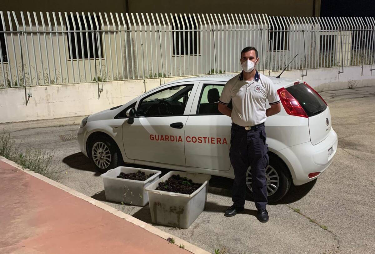 ORTONA: PESCA DI FRODO DI RICCI E POLPI, SANZIONI E SEQUESTRI A SUBACQUEI ARRIVATI DA FUORI REGIONE