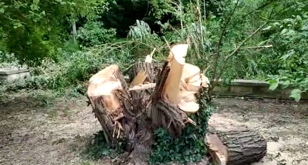 POPOLI: TAGLIO INDISCRIMINATO DI ALBERI ALLE SORGENTI DEL PESCARA”, PROTESTANO ASSOCIAZIONI
