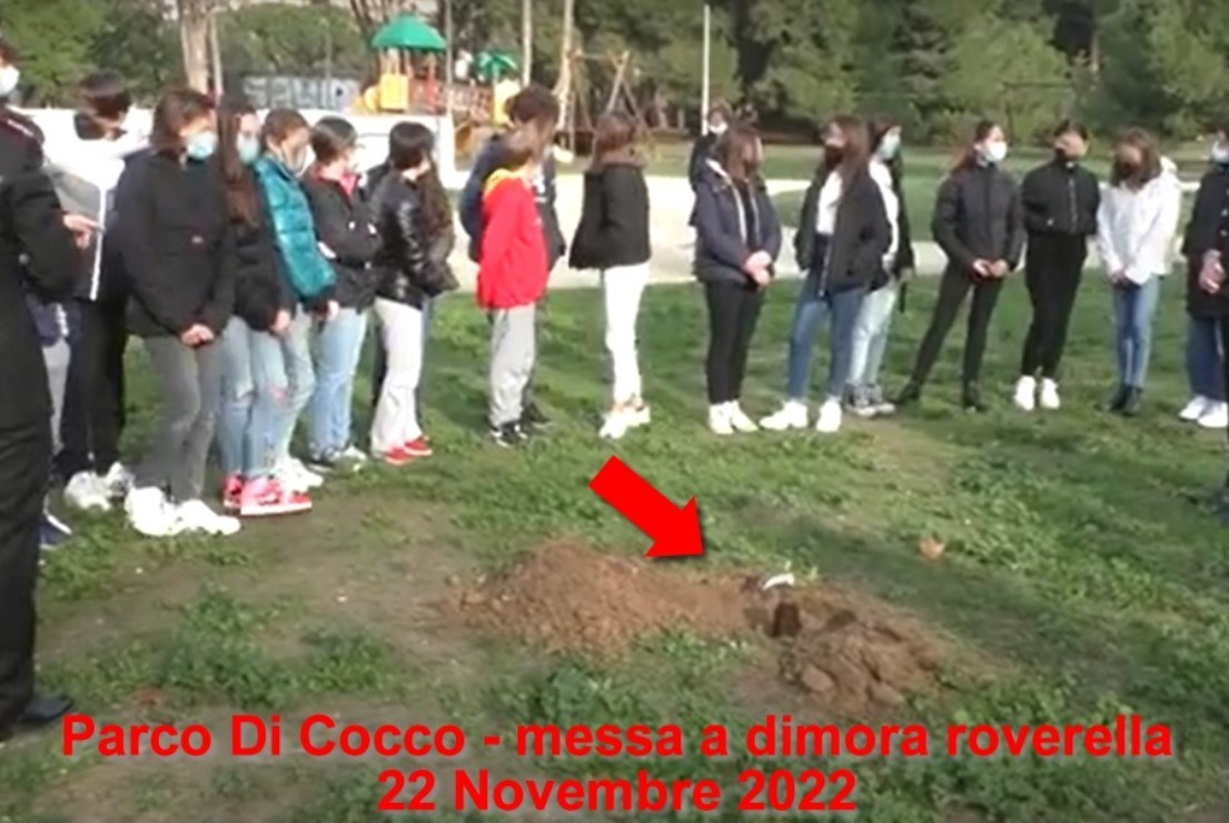 PESCARA: MORTO ALBERO MASCOTTE PARCO DI COCCO PIANTATO DAI BAMBINI, ORA AL SUO POSTO UN GAZEBO