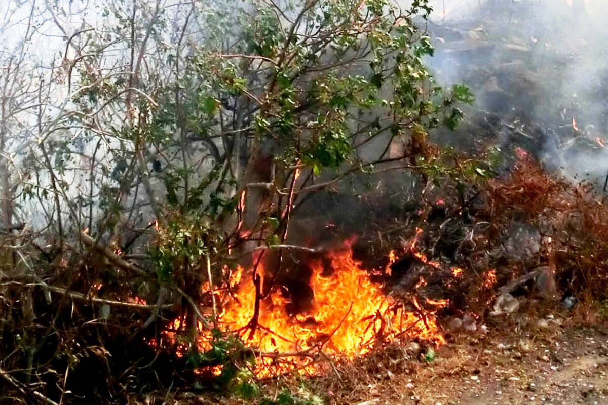 TORINO DI SANGRO, DOMATO INCENDIO IN CONTRADA SALETTI