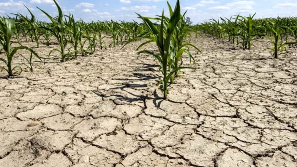 SICCITÀ: ISPRA, ANCHE ABRUZZO A RISCHIO DESERTIFICAZIONE. COLDIRETTI, “GUAI PER MOLTE COLTURE”