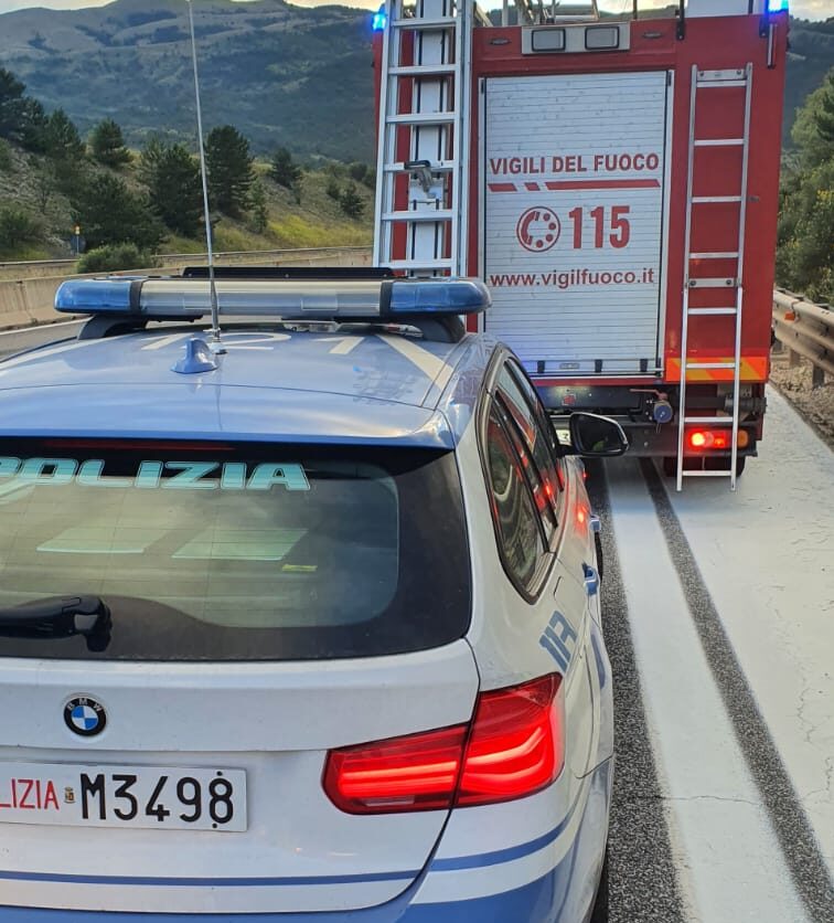 AUTOSTRADA A24: RECUPERATI DUE CUCCIOLI DI CANE RITROVATI IN UN CANALE DI SCOLO