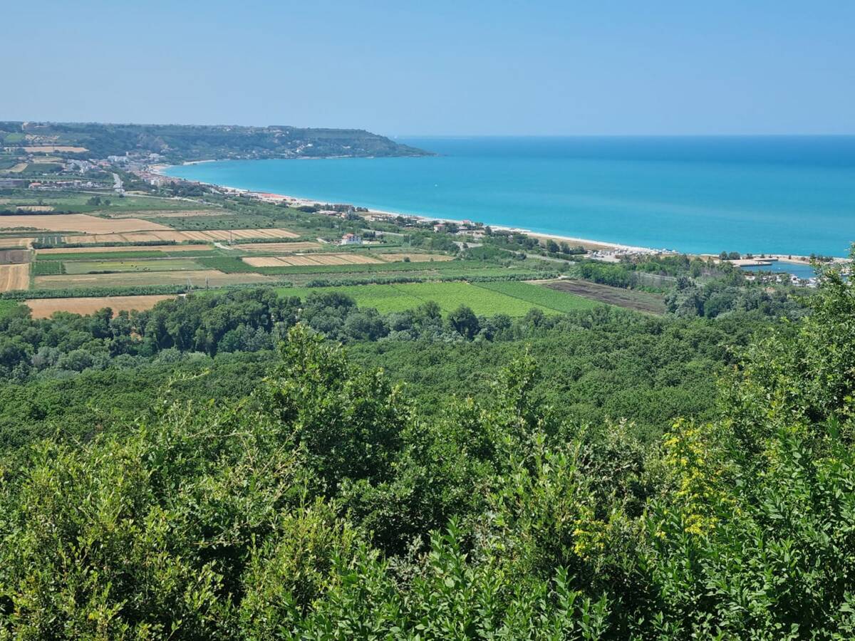 CSR ABRUZZO: PUBBLICATI TRE BANDI PER PROMUOVERE SOSTENIBILIA’ E COMPETITIVITA’ COMPARTO AGRICOLO