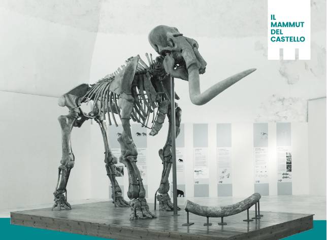 MAMMUT DEL CASTELLO CINQUECENTESCO A L’AQUILA: SECONDO WEEKEND DI APERTURA