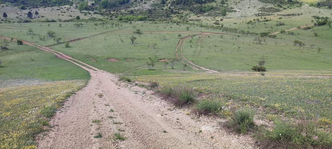 POLIGONO MONTE STABIATA, SOA: “ECCO COME E’ RIDOTTO, IMPORRE IMMEDIATO RISPRISTINO AMBIENTALE AREA”