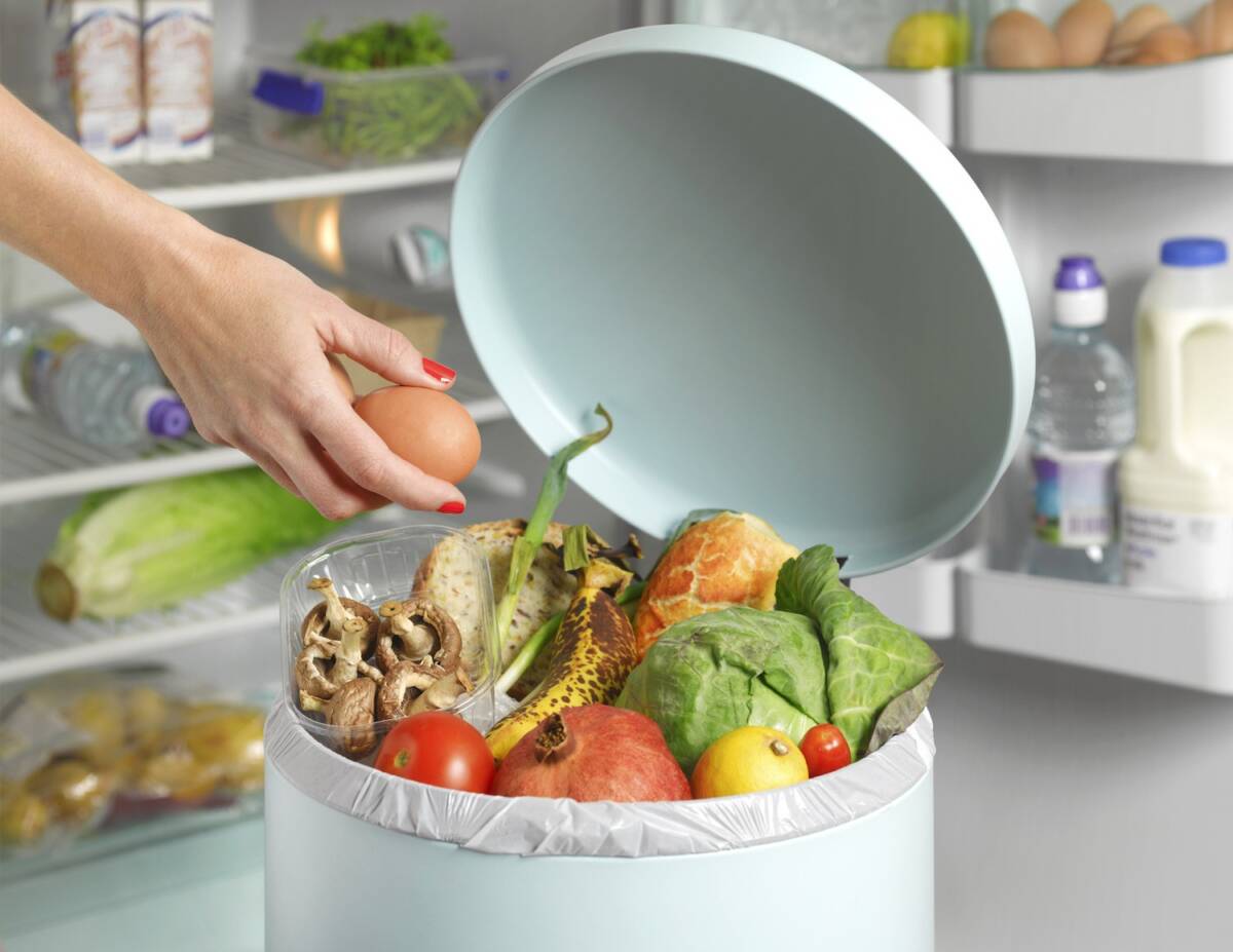 COMUNE DI CHIETI: LOTTA AGLI SPRECHI ALIMENTARI, OK AL “PIANO DEL CIBO”