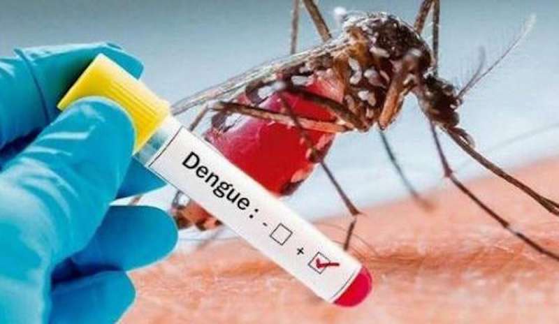 TERAMO:  DIAGNOSTICATO UN CASO DI DENGUE IN 40ENNE DI RITORNO DA CUBA