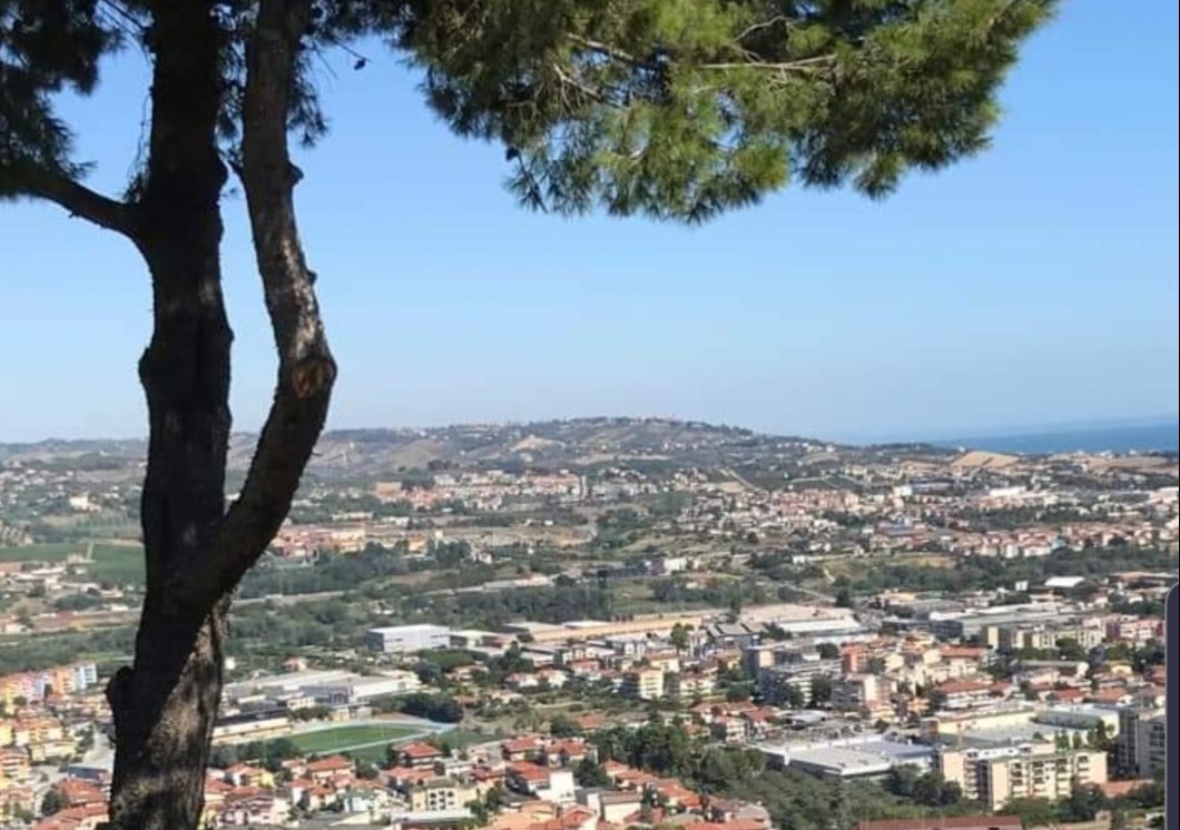 MONTESILVANO, “ANCORA UN TAGLIO INDISCRIMINATO DI ALBERI”, SCATTA NUOVA PROTESTA ASSOCIAZIONI