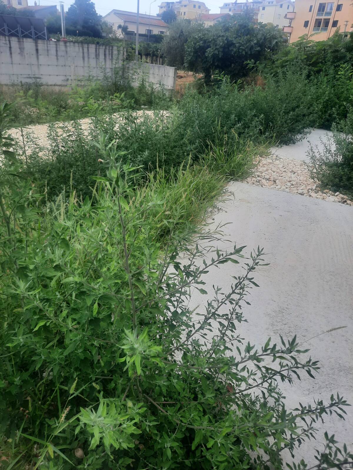 ORTONA: DI NARDO, “PARCO DI CONTRADA LAZZARETTO NEL TOTALE DEGRADO”