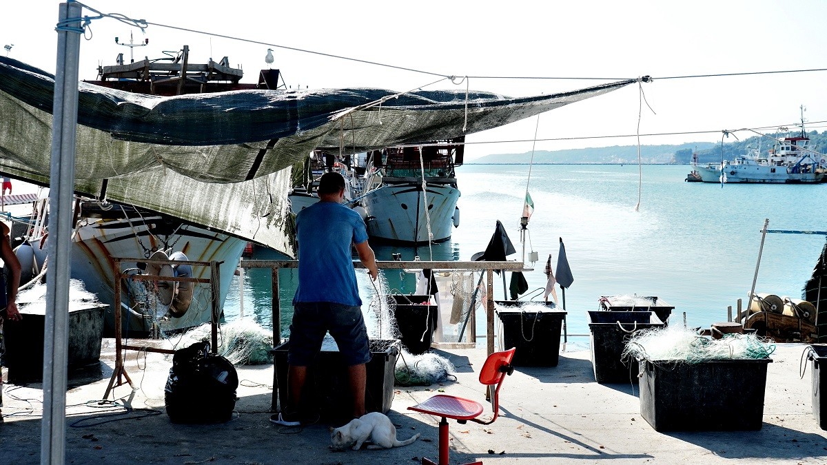 PESCA: UE AUMENTA QUOTA TONNO E TUTELA ANGUILLE