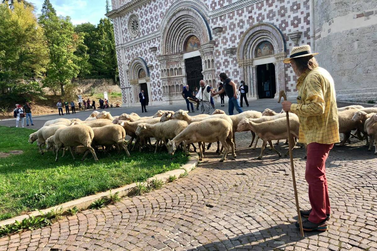 L’AQUILA: GIOVEDI’ L’ULTIMO SALUTO A PIERLUIGI IMPERIALE, FUNERALI ALLA BASILICA DI COLLEMAGGIO