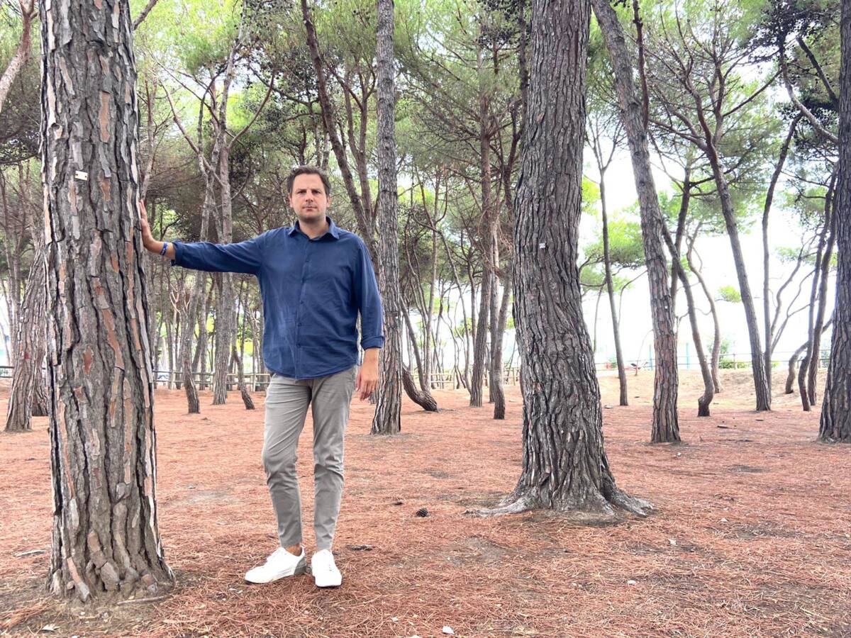 ALBA ADRIATICA, ZENNARO (LEGA): “NO AL TAGLIO DEGLI ALBERI DELLA PINETA STORICA”