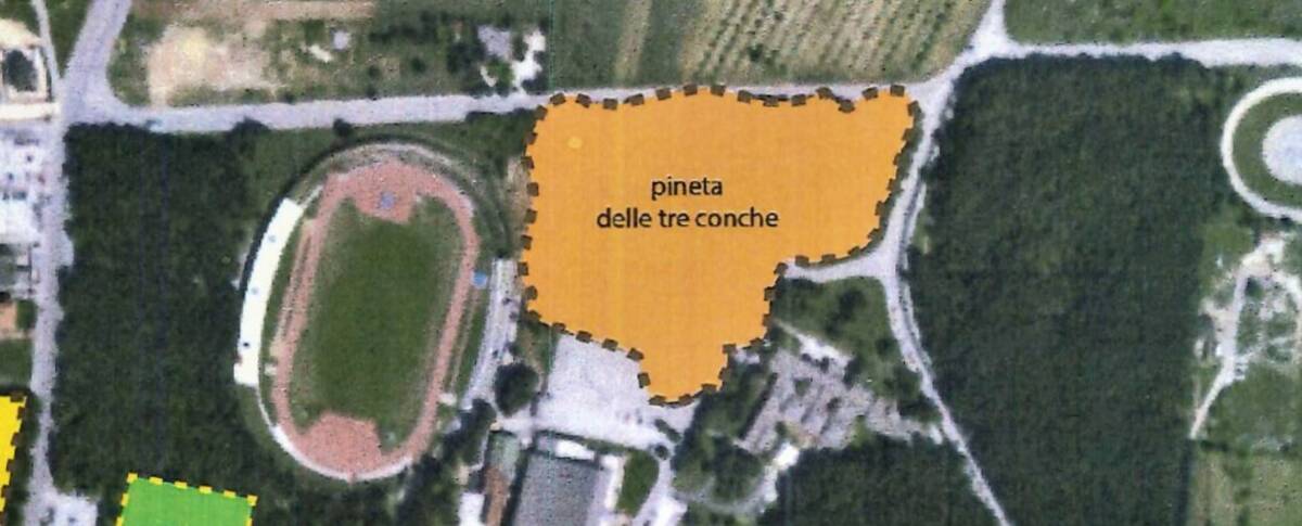 AVEZZANO: PINETA “TRE CONCHE”, AL VIA PROGETTO PER RINATURALIZZAZIONE E INCREMENTO BIODIVERSITA’