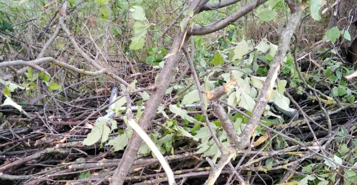 “ALVEO DEL RAIALE INGOMBRO DI TRONCHI E ALBERI CADUTI”, ALLARME DELL’ASBUC PAGANICA-SAN GREGORIO