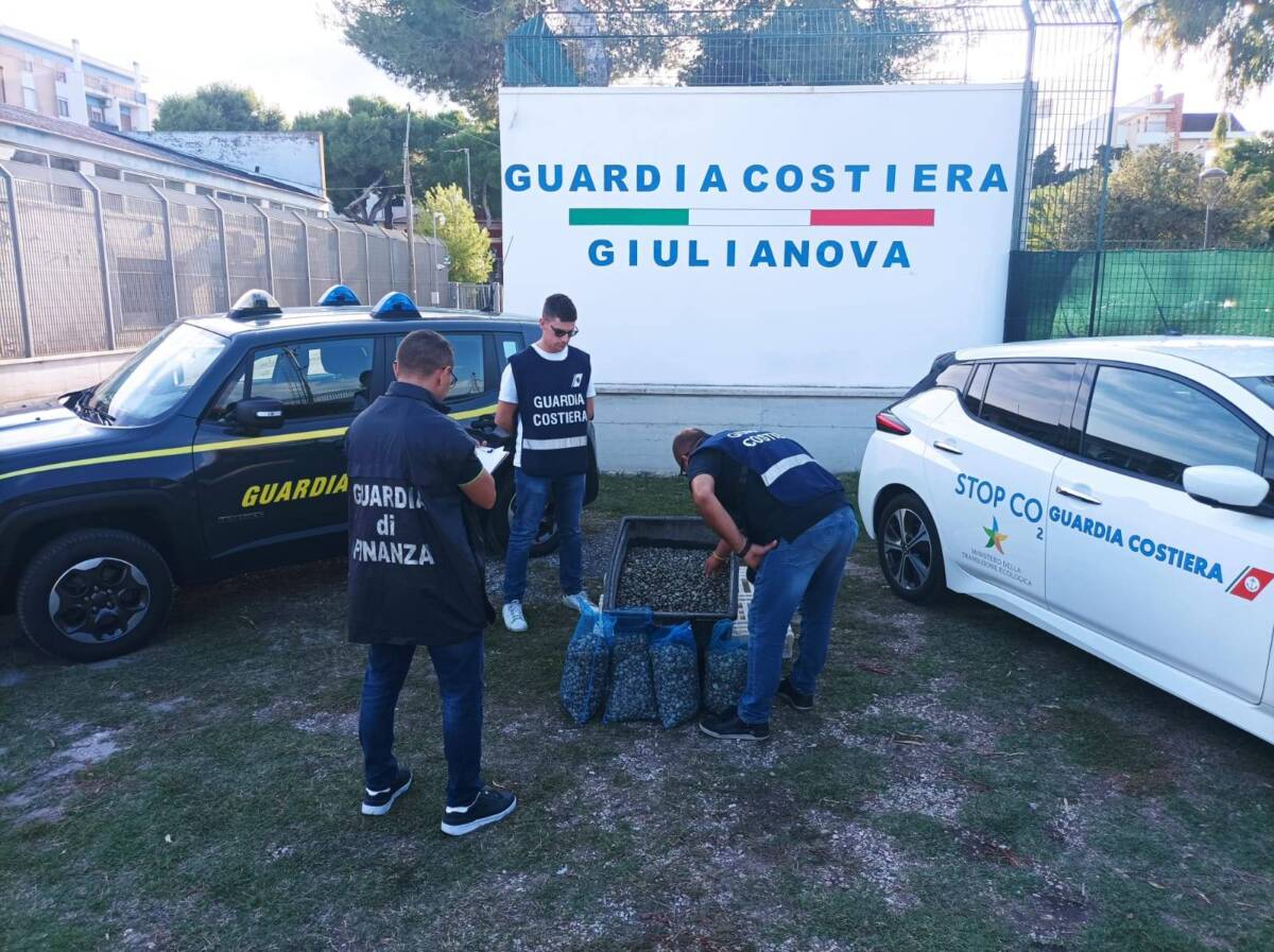 GIULIANOVA: SEQUESTRATI 300 KG DI VONGOLE IN CATTIVO STATO DI CONSERVAZIONE