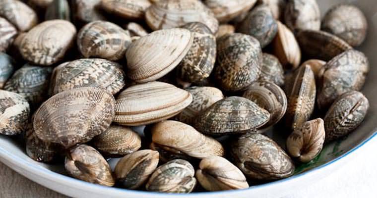 PESCA ILLEGALE AL LARGO DI ORTONA: FINANZA  DI PESCARA SANZIONA UNA VONGOLARA