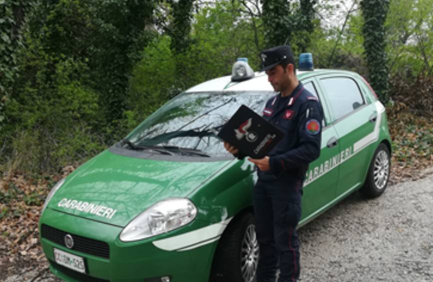 TAGLIA 157 ALBERI NEL PARCO SIRENTE VELINO: DENUNCIA E MULTA DA 4MILA EURO