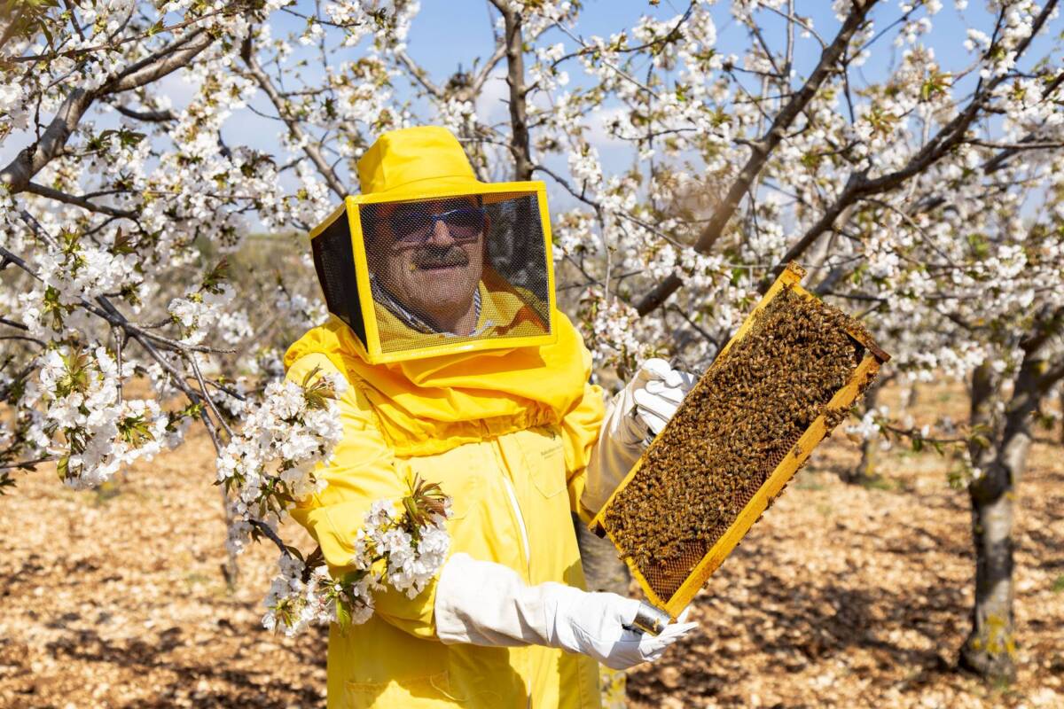 MIELE: A DUBAI DUE PREMI INTERNAZIONALI PER L’APICOLTURA LUCA FINOCCHIO