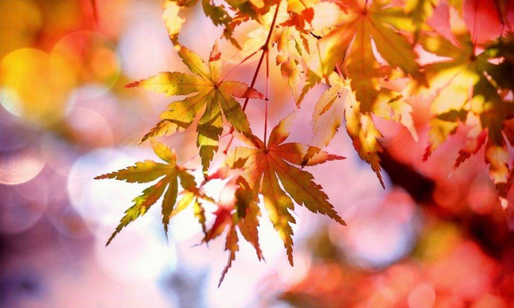 METEO ABRUZZO: ULTIMI GIORNI DI CALDO, DAL WEEK END ARRIVA L’AUTUNNO