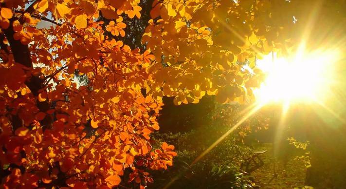 METEO: ARRIVA L’OTTOBRATA, PER UNA SETTIMANA SOLE E TEMPERATURE FINO A 28°