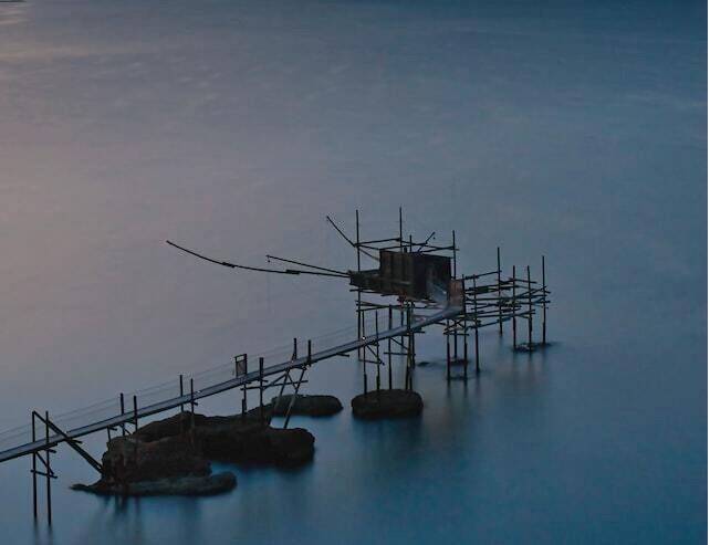 GLI ALBERI GENEALOGICI: DAGLI ANTICHI POPOLI DELL’ABRUZZO, ALLE MODERNE TECNOLOGIE E INTRATTENIMENTO