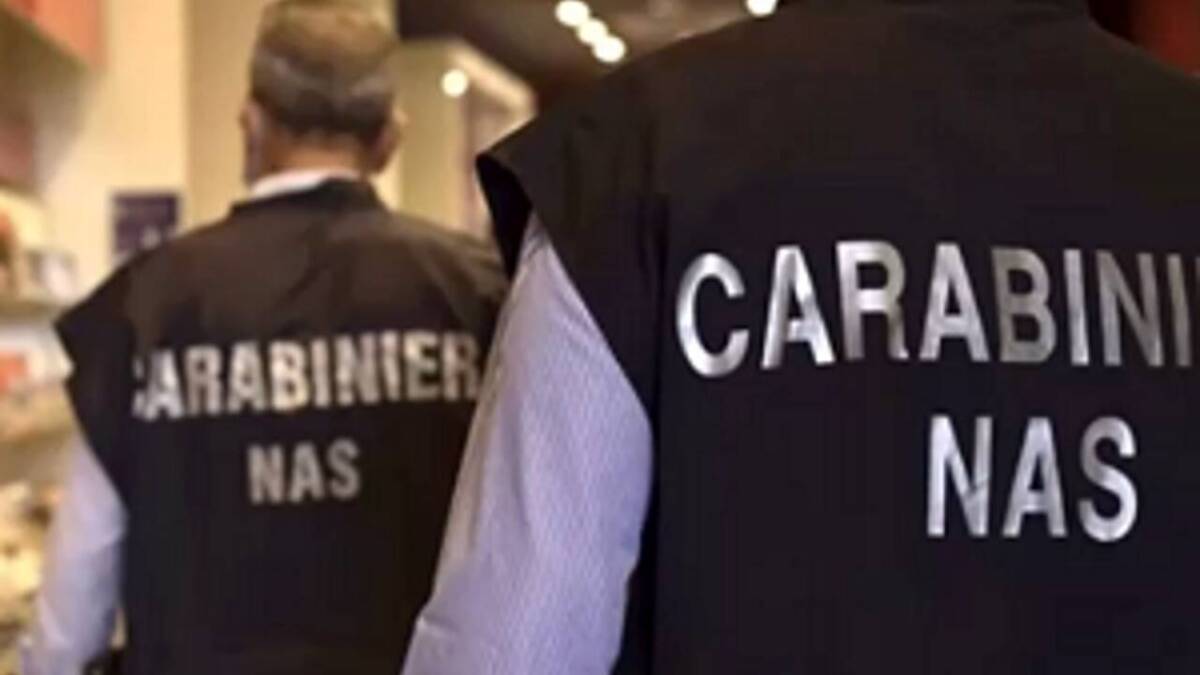 QUINDICI TURISTI INTOSSICATI IN MARSICA DOPO UNA CENA A BASE DI CINGHIALE: INDAGANO NAS E ASL