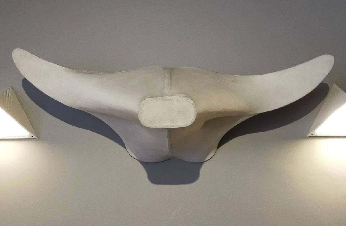 IL BRUCRANIO DI PINO PASCALI CONSERVATO AD AVEZZANO IN MOSTRA A VILLA D’ESTE A TIVOLI