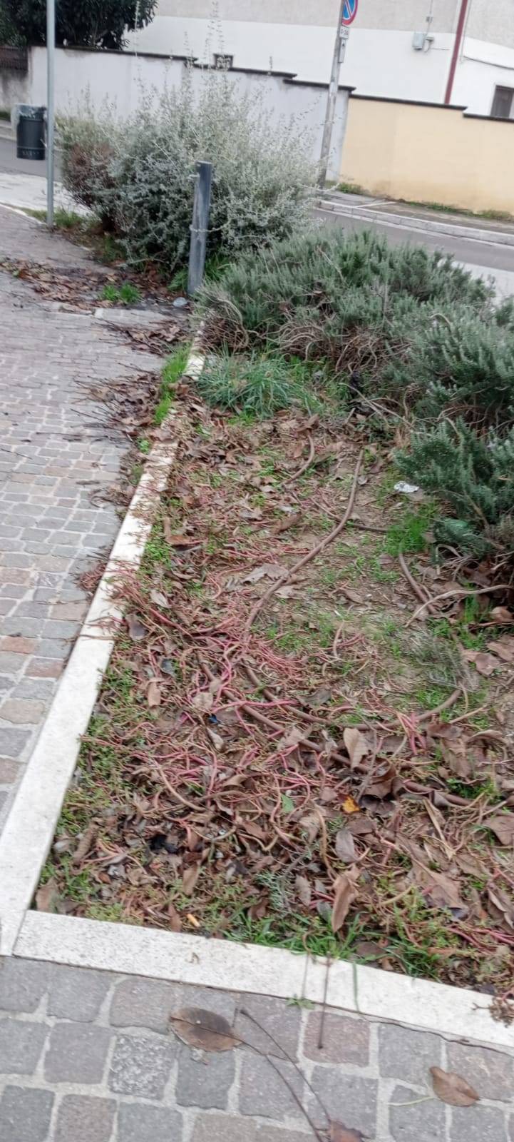 CHIETI: COLANTONIO (LEGA) ATTACCA IL COMUNE, “IN STATO DI ABBANDONO IL LARGO CHE RICORDA LE FOIBE”