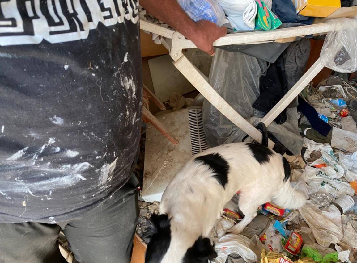 ORTONA: DUE MESI DI ARRESTO PER MALTRATTAMENTI AL CANE, “CONDANNA ESEMPLARE”