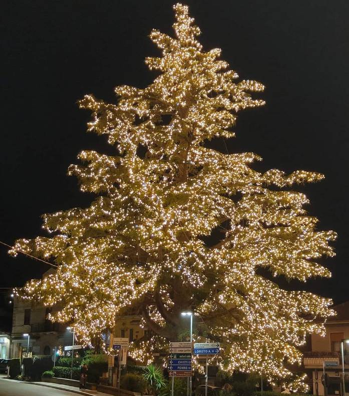 PIANELLA SI ACCENDE DI MAGIA: TRADIZIONALE ACCENSIONE DELL’ALBERO DI NATALE PIU’ GRANDE D’ABRUZZO