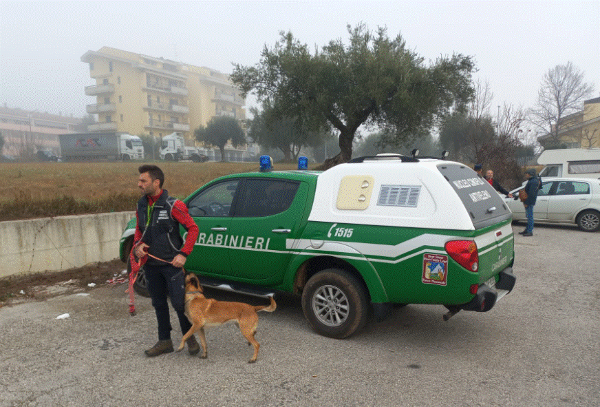 SAN NICOLÒ A TORDINO: ABBANDONO DI ESCHE AVVELENATE, SOPRALLUOGHI CARABINIERI FORESTALI
