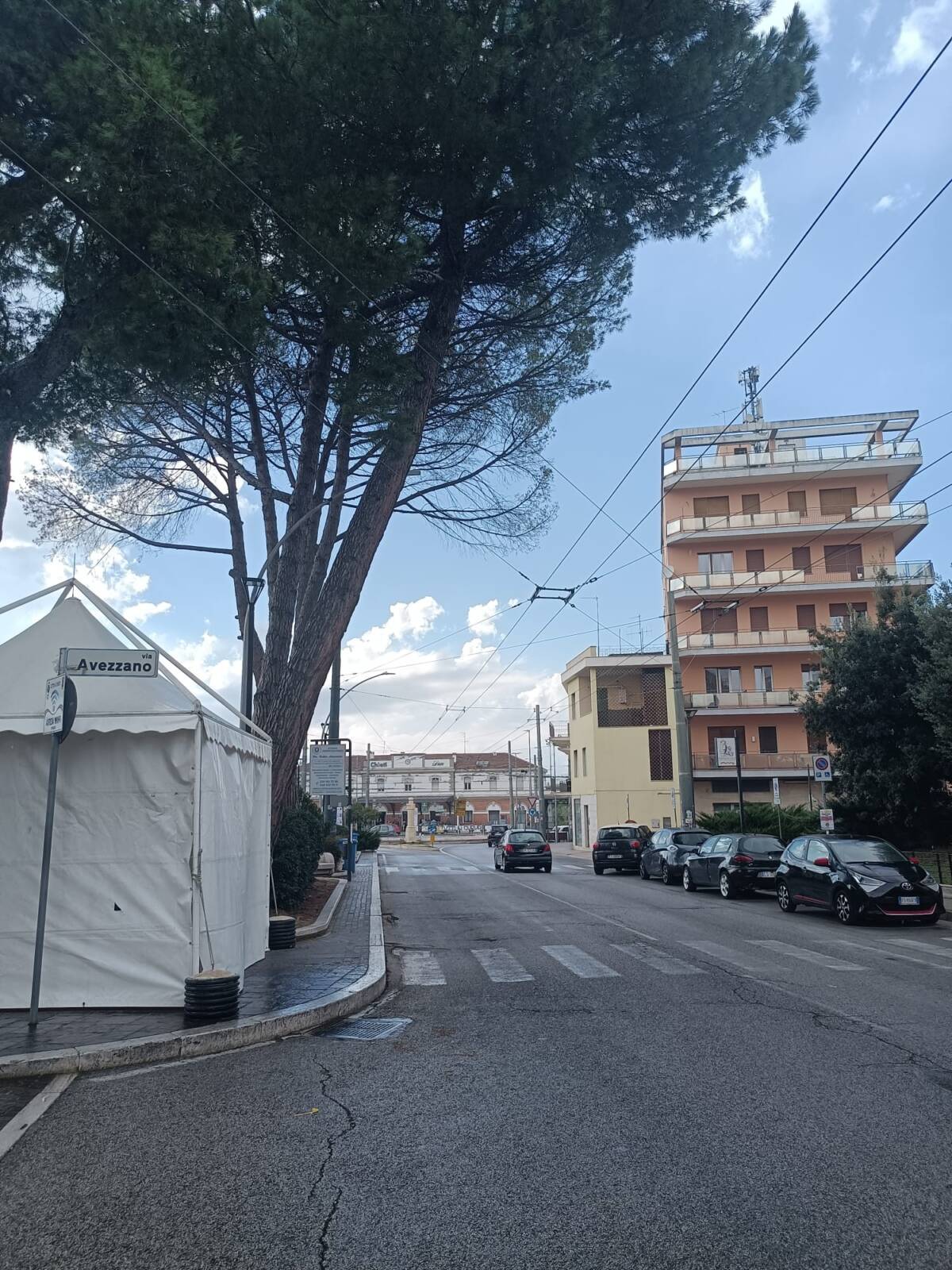 ALBERO PERICOLANTE A CHIETI SCALO: LA LEGA CHIEDE UN INTERVENTO URGENTE AL SINDACO FERRARA
