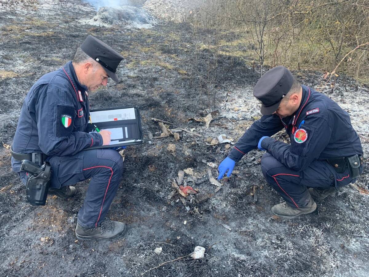 CARABINIERI FORESTALI: BILANCIO 2022, ” MULTE PER UN MILIONE E 800MILA EURO E 112MILA  CONTROLLI”