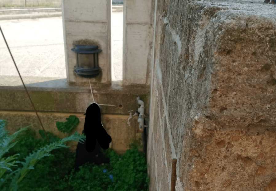 GATTO MORTO FOLGORATO A PESCARA, DENUNCIA ENPA: “IMPIANTO GIARDINO NON A NORMA”